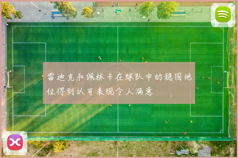 雷迪克和佩林卡在球队中的稳固地位得到认可表现令人满意