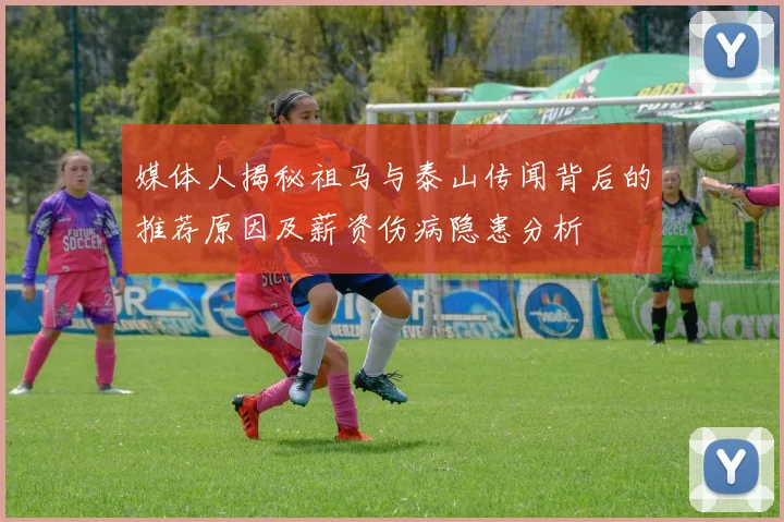 媒体人揭秘祖马与泰山传闻背后的推荐原因及薪资伤病隐患分析
